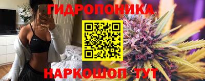 дживик Кунгур