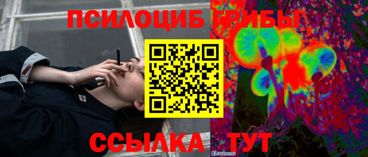 Псилоцибиновые грибы мухоморы Кимовск