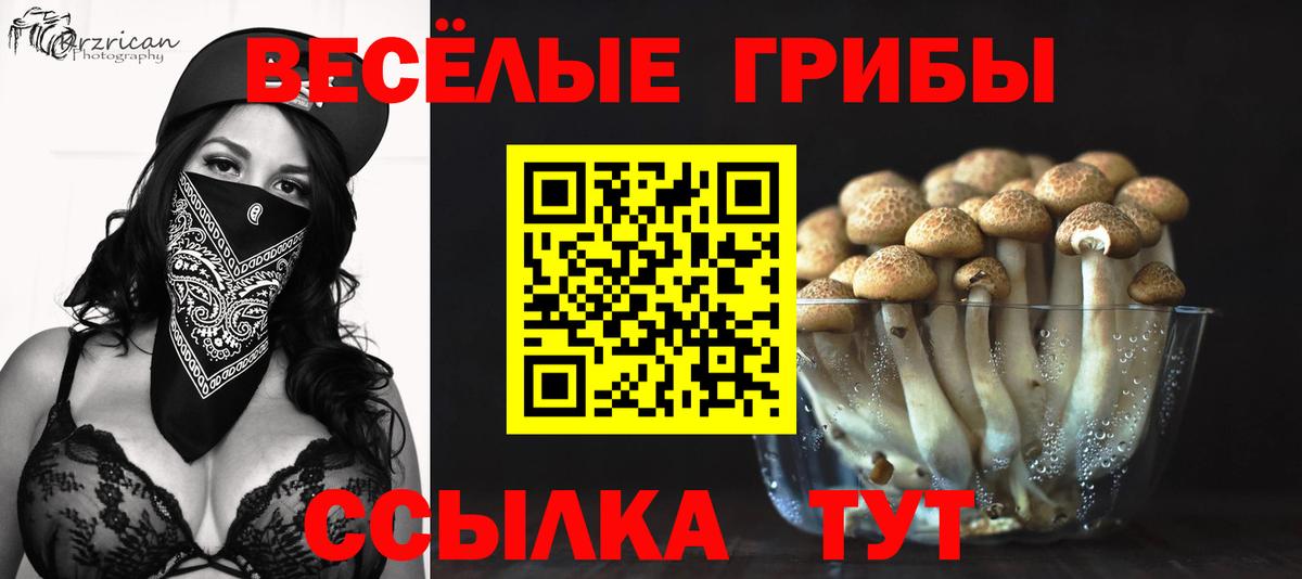 Псилоцибиновые грибы Cubensis  закладка  Галлюциногенные грибы Magic Shrooms  Кимовск  Вход с VPN 