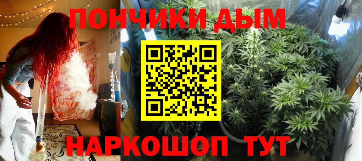 Бошки марихуана планчик  Бошки марихуана THC 21%  Канабис гибрид  Кимовск  Канабис план  Вход с VPN 